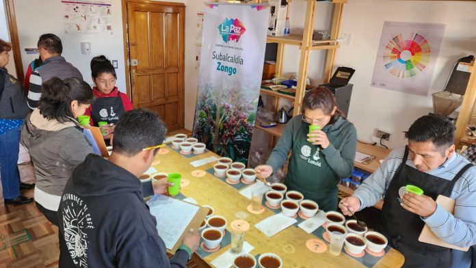 Catadores internacionales califican la calidad del café de Zongo. Foto: AMUN